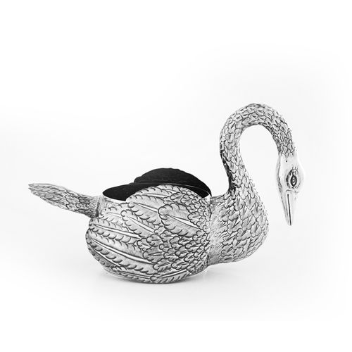 CISNE