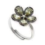 ANILLO-SPRING-MISS