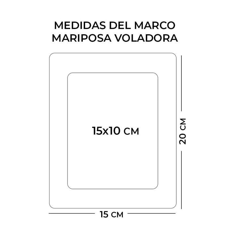 MARCO-MARIPOSA-VOLADORA-