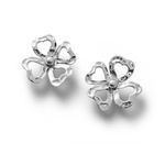 ARETES-SAMBA