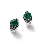 ARETES-SACHAMAMA-SERPIENTE