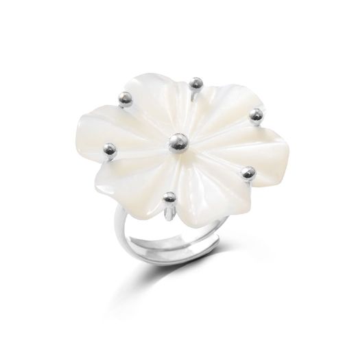 ANILLO MICAELA BASIC